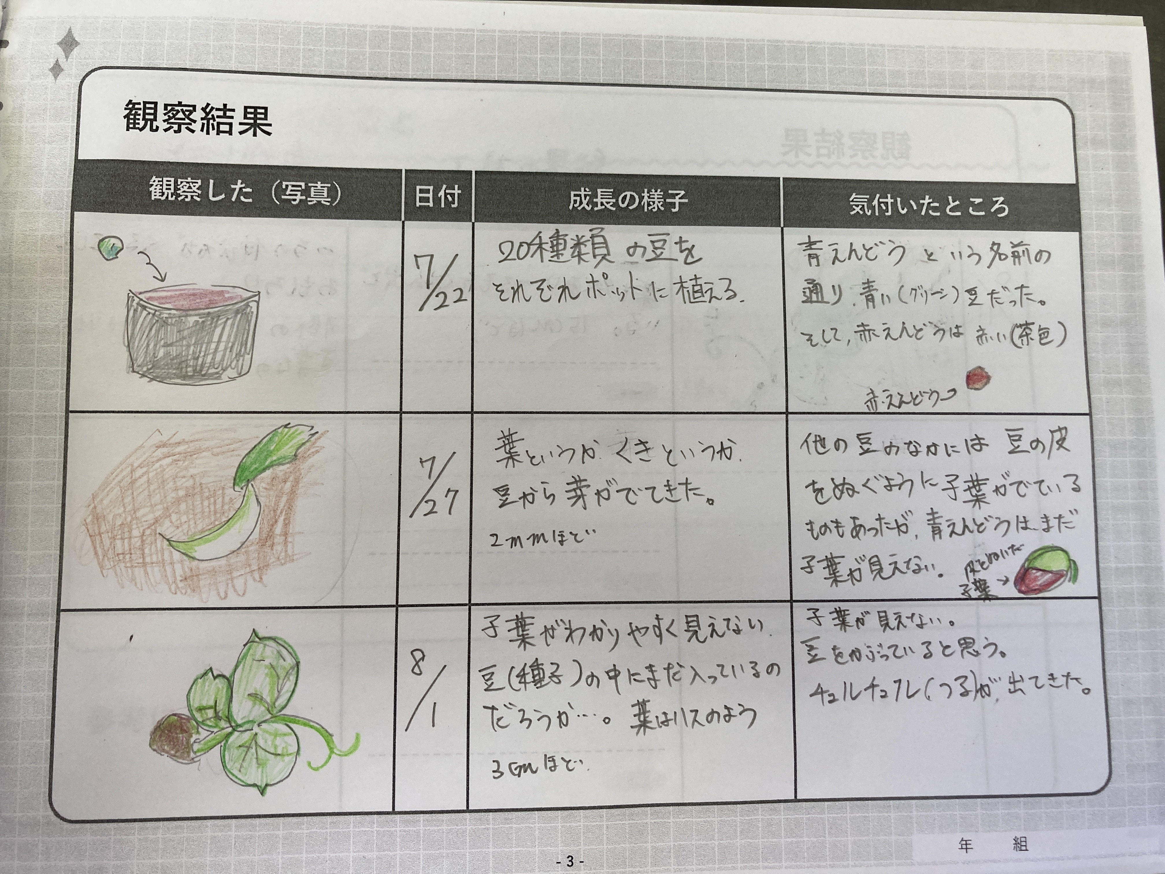 自由研究の紹介 与那国町立与那国小学校ホームページ