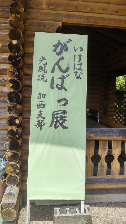 KIMG1320