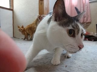 s-DSC08013