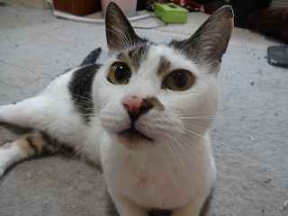 s-DSC08033