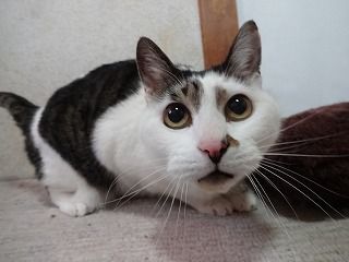 s-DSC07963