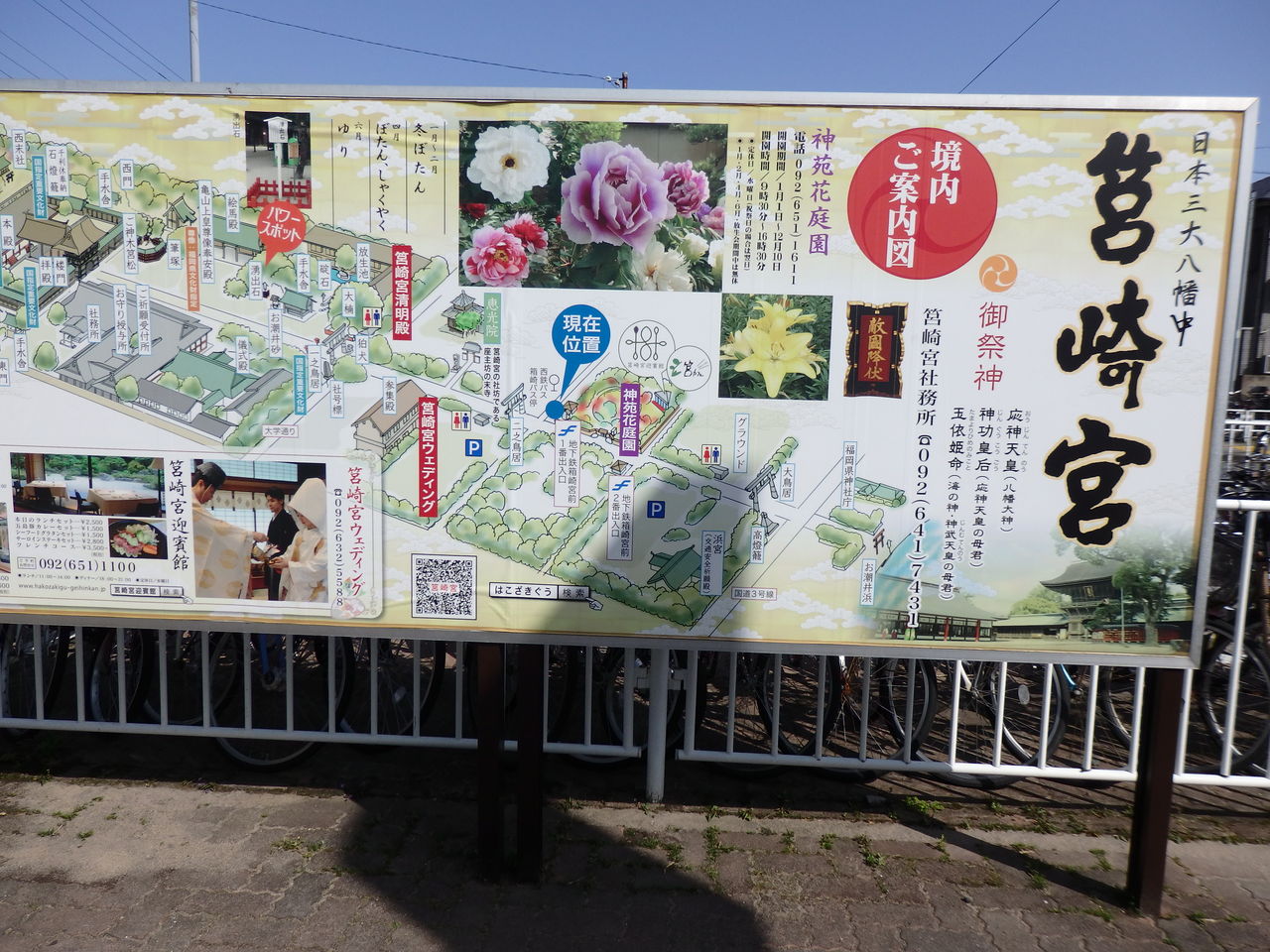 筥崎宮 プリさんbar