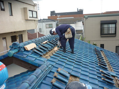 ��ʪ����6