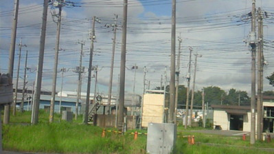 6179032e.jpg
