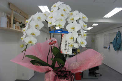 Íö¤µ¤¯¤é»õ²Ê