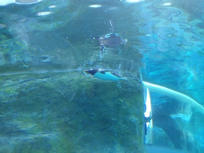 94d04ac7.jpg