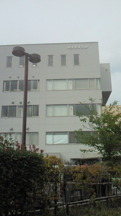 c37010a1.jpg