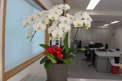 Íö¥Ï¥¹¥Ì¥Þ