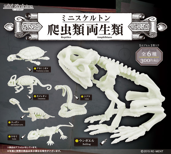 もうすぐ夏休みが終わる リーメント ミニスケルトン爬虫類両生類 ガチャを自由課題にしてみませんか ガシャポン ガチャガチャマニア ガチャポンおまつブログ もうすぐ夏休みが終わる リーメント ミニスケルトン爬虫類両生類 ガチャを自由課題にしてみませんか ガシャポン ガチャガチャマニア ガチャポンおまつブログ