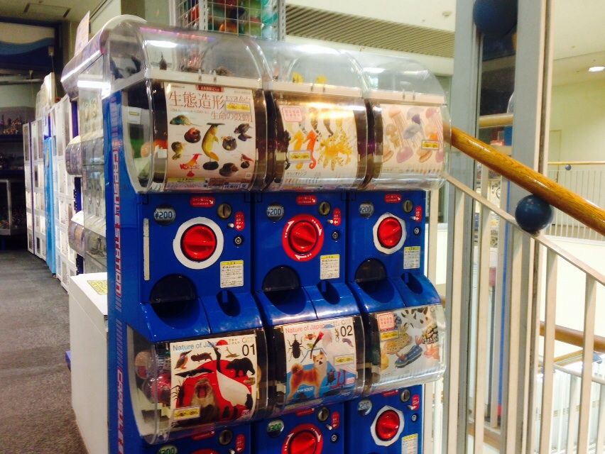 名古屋ガチャガチャミュージアム 博物館 はガチャ好きなら一見の価値あり ガチャポン探訪 ガシャポン ガチャガチャマニア ガチャポンおまつブログ 名古屋ガチャガチャミュージアム 博物館 はガチャ好きなら一見の価値あり ガチャポン探訪 ガシャポン ガチャガチャマニア ガチャポンおまつブログ