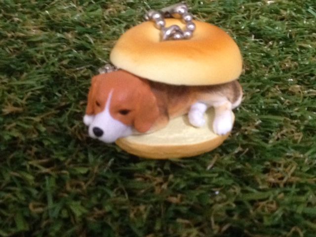 大人気 いぬぱん シリーズいぬぱん6が登場wシベリアンピロシキーがビッグサイズで追加 ガシャポン ガチャガチャマニア ガチャポンおまつブログ