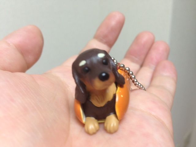 いぬとパンの融合は激ヤバすぎwwガシャポン いぬぱん かわゆいですけど 残念ながら食べられません ガシャポン ガチャガチャマニア ガチャポンおまつブログ
