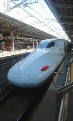 九州新幹線 さくら555号 よしちゃん しゃもじのローズピンクトラム日記 九州新幹線 さくら555号 よしちゃん しゃもじのローズピンクトラム日記