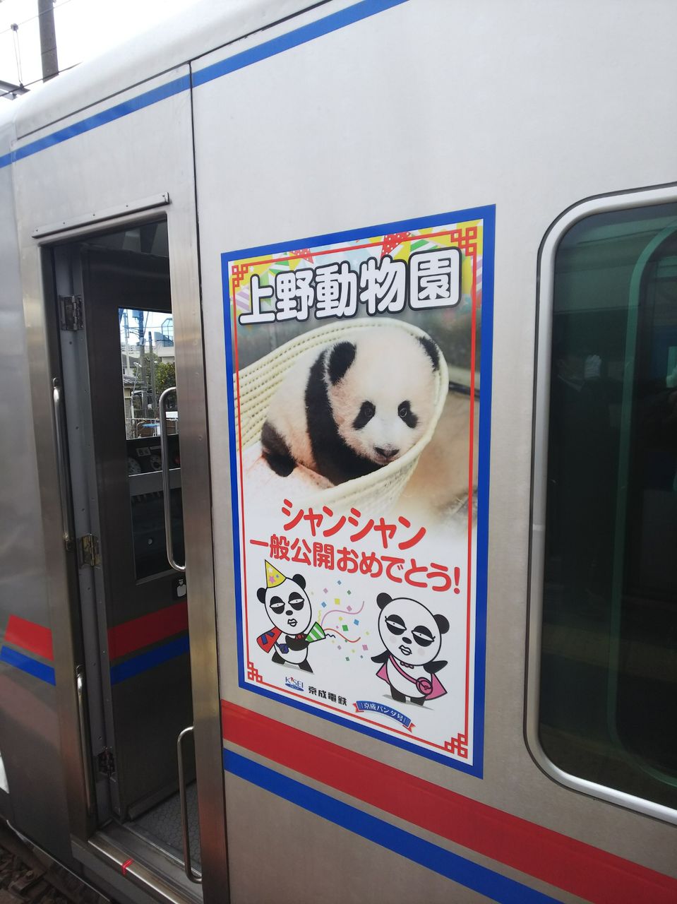 京成新3000形の3033fによる京成パンダ号 よしちゃん しゃもじのローズピンクトラム日記