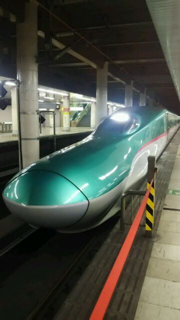E5系による仙台やまびこ号 本当は三鉄ツアーに行きたかった よしちゃん しゃもじのローズピンクトラム日記
