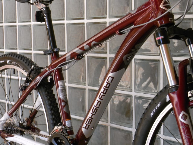 gary fisher advance bike