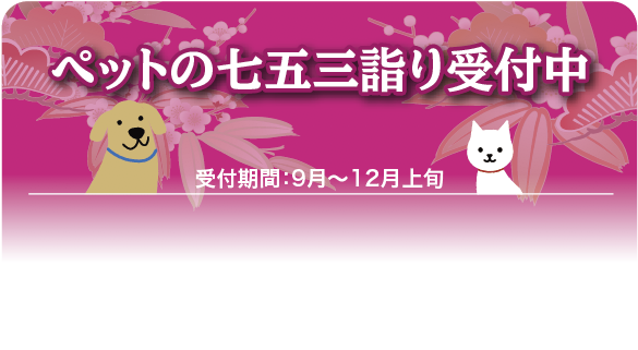 pet753_banner