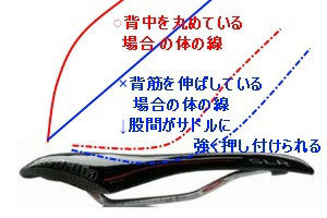 自転車の正しい座り方 本日のオススメ 自転車の正しい座り方 本日のオススメ