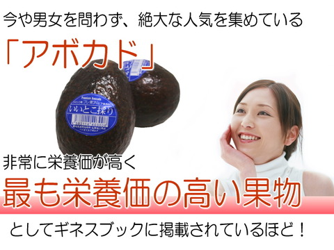 アボカド