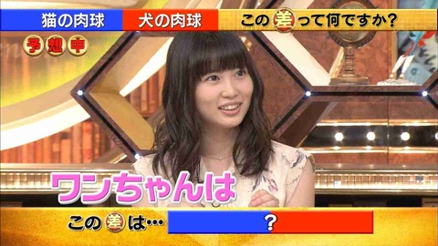 ソックリ4