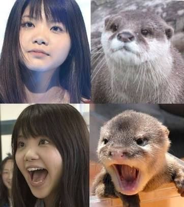 カワウソ女子2