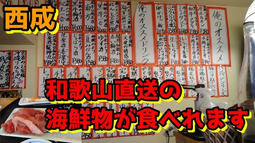 さむね