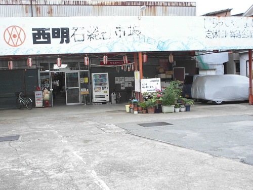 CIMG5581