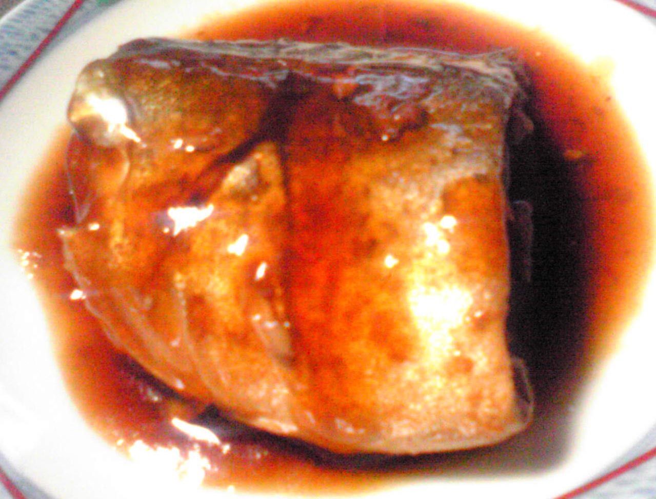 家ご飯 やまでらのぶらりグルメ ぶらり日記