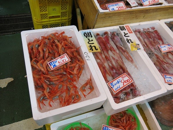金沢港いきいき魚市で子もち甘エビにしゃぶりつく ヨッサンの湯巡りうまいモン巡り