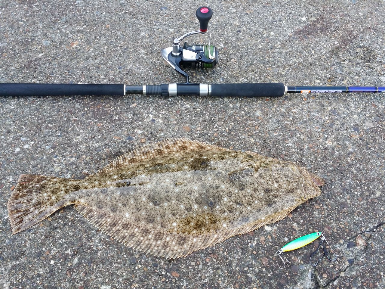 ダイソージグロックでヒラメ君ゲット O V ヨッサンのど素人ルアー釣り
