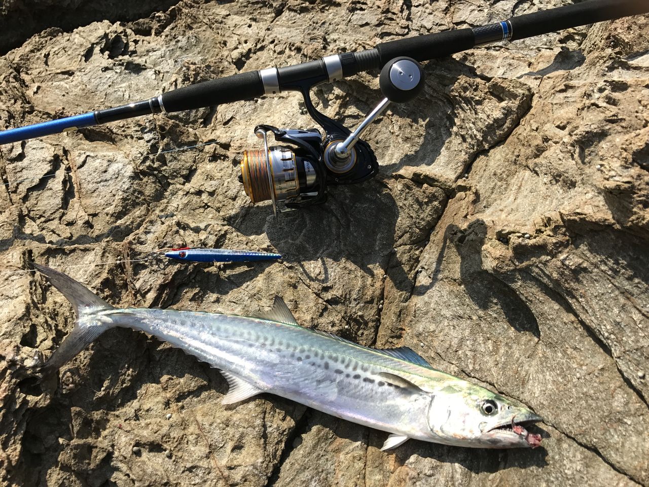 ヨッサンのど素人ルアー釣り ライトショアジギング ヨッサンのど素人ルアー釣り ライトショアジギング