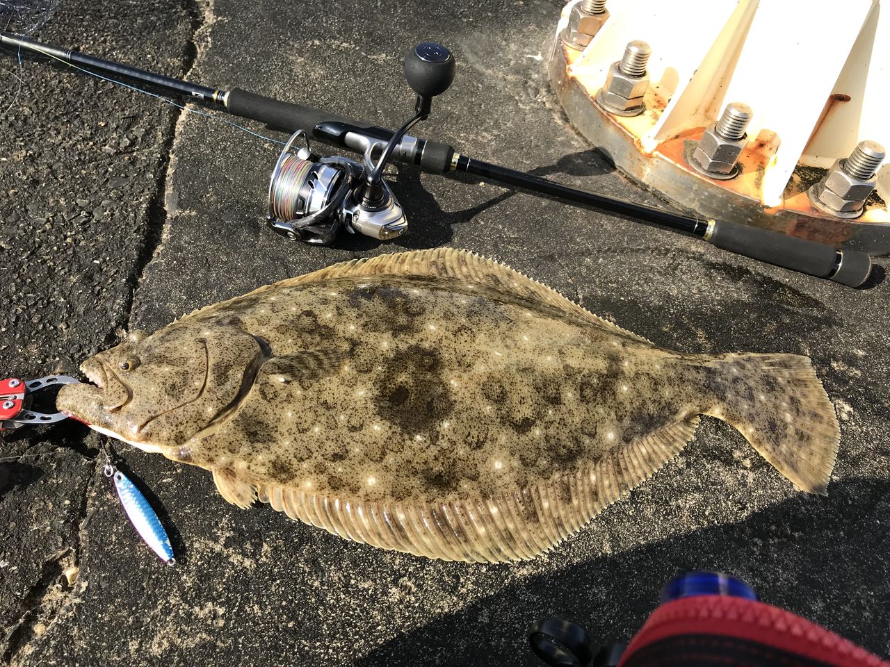 ダイソー ジグロックで今年初のヒラメ ヨッサンのど素人ルアー釣り