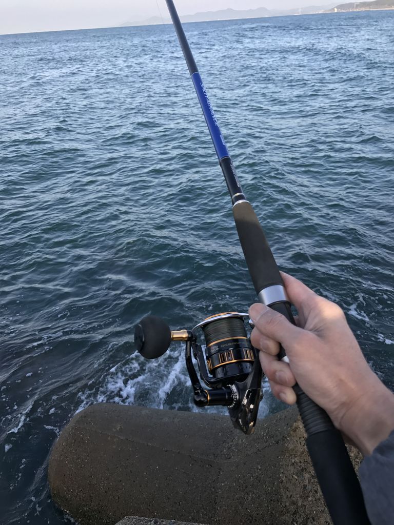 最高かつ最も包括的なアブガルシア オーシャンフィールド 評価 すべての魚の画像 最高かつ最も包括的なアブガルシア オーシャンフィールド 評価 すべての魚の画像