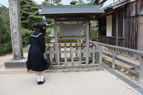 IMG_8413ブログ