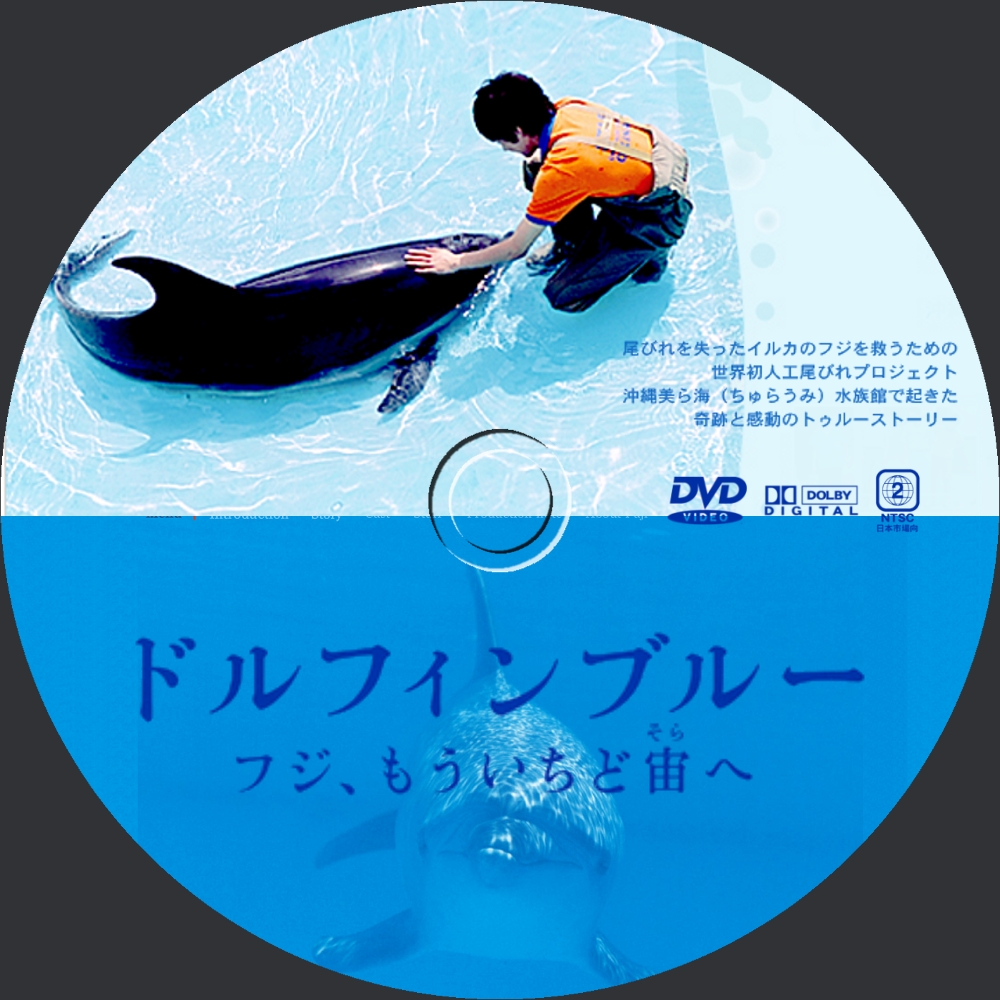 Yosshi's　DVDラベル