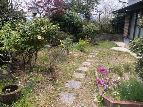 ギボウシ 06 ヨッシーロのブログ 18