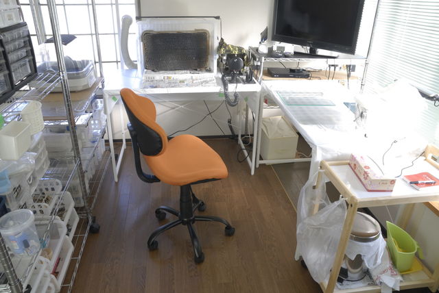 模型部屋 Yosshiro Labo