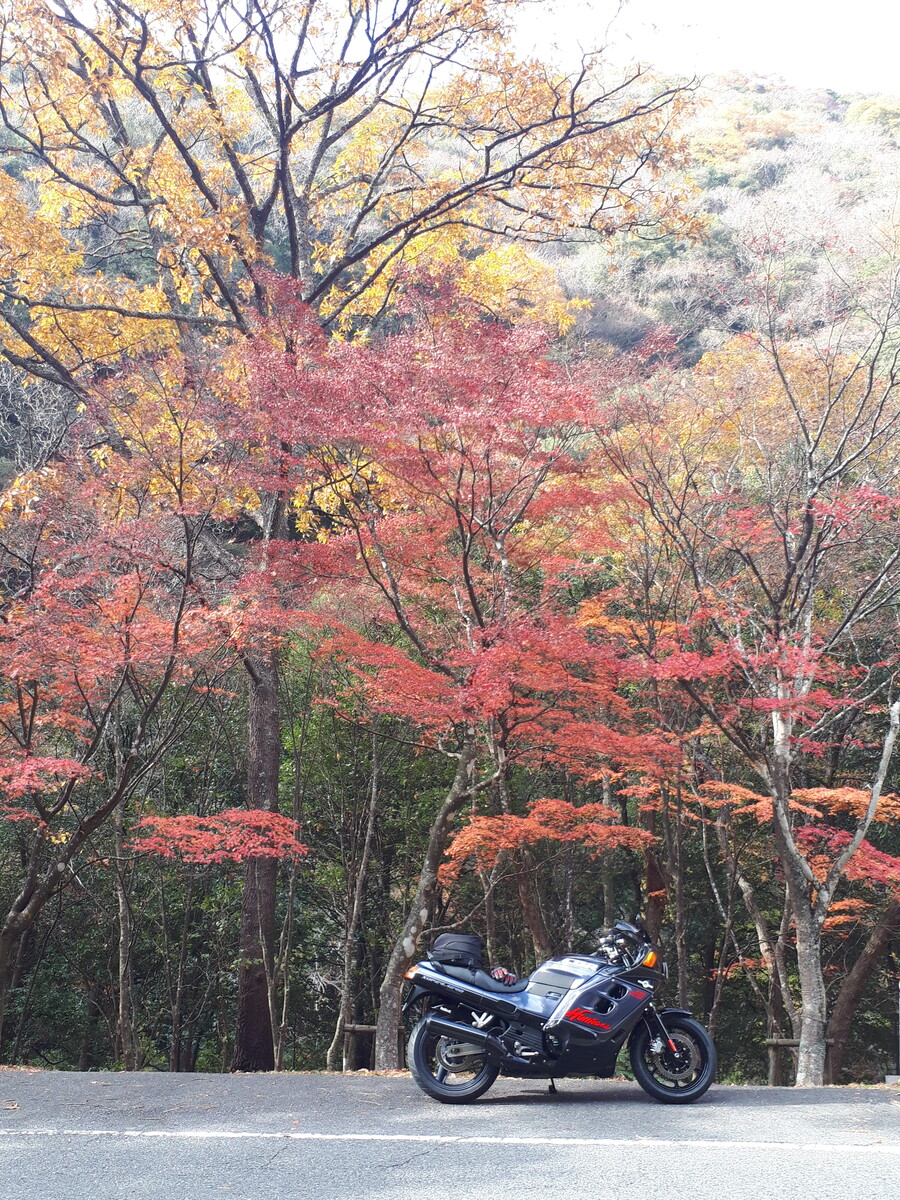 タイヤの慣らしに よっしーの趣味ブログ タイヤの慣らしに よっしーの趣味ブログ