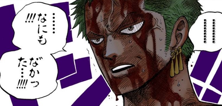 ワンピース ゾロってめっちゃトレーニングしてるのにルフィより弱いよね ワンピースのまとめ ワンピース ゾロってめっちゃトレーニングしてるのにルフィより弱いよね ワンピースのまとめ