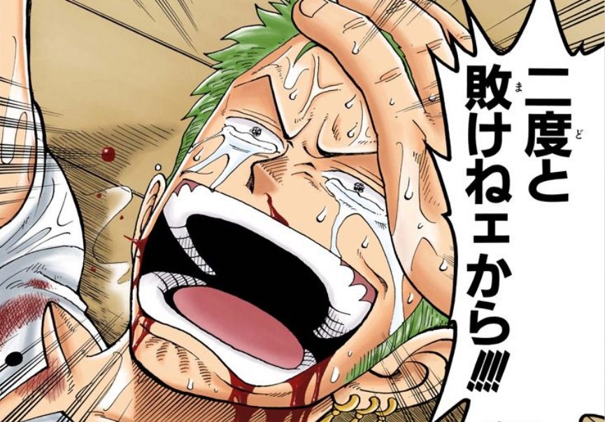 ワンピース ゾロってめっちゃトレーニングしてるのにルフィより弱いよね ワンピースのまとめ ワンピース ゾロってめっちゃトレーニングしてるのにルフィより弱いよね ワンピースのまとめ