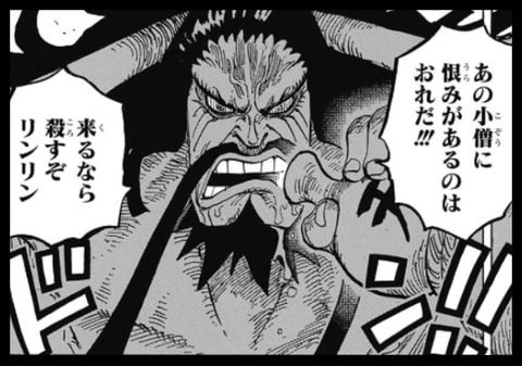 百獣海賊団 ワンピースのまとめ 百獣海賊団 ワンピースのまとめ