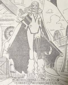 ワンピース 巨人族の女の子って出てきたっけ ワンピースのまとめ ワンピース 巨人族の女の子って出てきたっけ ワンピースのまとめ