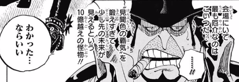 朗報 ルフィさん レイリーが化け物扱いする人間に肩を並べてしまう ワンピースのまとめ