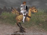�ޥ����祳��