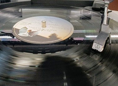 24-01-21-11-18-21-347_photo