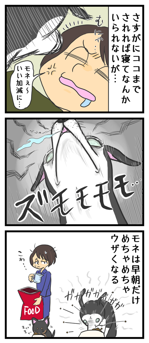 522333D3-0D8E-4EBC-AFDA-4DB4D2D16A1C