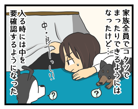 47933FD6-E92C-4DB6-A25F-F7D5FC392EB7
