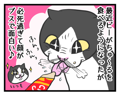 442D0545-43A7-45E2-A07D-42E1A1F4147F