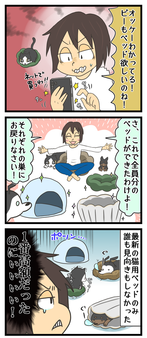 DF821446-F377-4409-A060-70018A0542C9