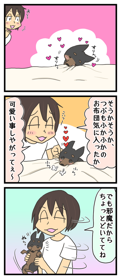 F55845EA-928B-45BE-8A77-A92C7CB75564